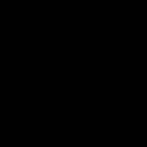 Meet your Posher, Paton